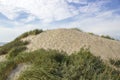 The dunes, Haamstede, Zeeland, the Netherlands Royalty Free Stock Photo