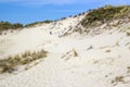 The dunes, Haamstede, the Netherlands Royalty Free Stock Photo