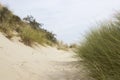 The dunes, Haamstede, Zeeland, the Netherlands Royalty Free Stock Photo