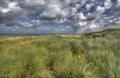 Dunes in Holland Royalty Free Stock Photo