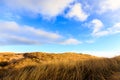 Dunes at Hvide Sande beach Royalty Free Stock Photo