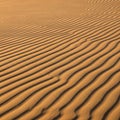 Dunes with intricate ripple patterns formed by wind create a Royalty Free Stock Photo