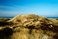 Dunes landscape, Sylt, Germany