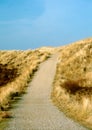 Dunes on the island of Sylt, Germany