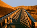 Dunes on the island of Sylt, Germany