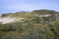 the dunes landscape in Haamstede, in the Netherlands Royalty Free Stock Photo