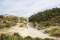 the dunes landscape in Haamstede, in the Netherlands Royalty Free Stock Photo