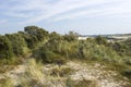 The dunes landscape in Haamstede, Zeeland, the Netherlands Royalty Free Stock Photo