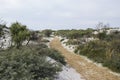 The dunes landscape in Haamstede, Zeeland, the Netherlands Royalty Free Stock Photo