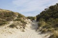 the dunes landscape in Haamstede, Zeeland, the Netherlands Royalty Free Stock Photo