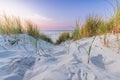 Landscape Terschelling The Netherlands Royalty Free Stock Photo