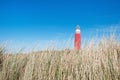 Dunes and lighthouse in Texel