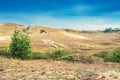 Dunes in Lithuania Royalty Free Stock Photo