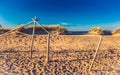 Dunes in Lithuania Royalty Free Stock Photo