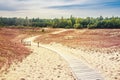 Dunes in Lithuania Royalty Free Stock Photo