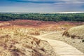 Dunes in Lithuania Royalty Free Stock Photo