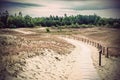 Dunes in Lithuania Royalty Free Stock Photo