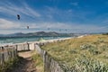 Dunes and mediterranean vegetation in hayers france