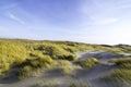 Dunes in the morning sunlight. Grasses grow on the hilltops. In the blue sky, white clouds move to the sea. Beach in the Royalty Free Stock Photo