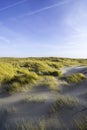 Dunes in the morning sunlight. Grasses grow on the hilltops. In the blue sky, white clouds move to the sea. Beach in the Royalty Free Stock Photo