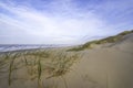 Dunes in the morning sunlight. Grasses grow on the hilltops. In the background there is the sea. Royalty Free Stock Photo