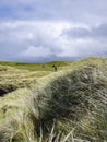 The dunes at Narin Strand, a beautiful large beach in County Donegal Ireland. Royalty Free Stock Photo