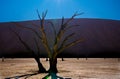 Dunes near Deadvlei, Sossusvlei near Sesriem in Namibia. Royalty Free Stock Photo