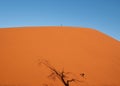 Dunes near Deadvlei, Sossusvlei near Sesriem in Namibia.