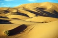 Dunes in Sahara desert