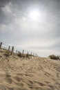 Dunes in the Netherlands Royalty Free Stock Photo
