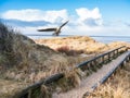 Dunes on the North Sea coast Royalty Free Stock Photo