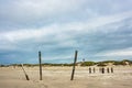 Dunes on the North Sea island Amrum, Germany