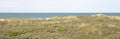 Dunes, North Sea and Waddensea coast of nature reserve on Ameland
