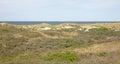 Dunes, North Sea and Waddensea coast of nature reserve on Ameland