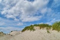 Dunes at Nymindegab Strand in Denmark under vivid blue sky and white clouds Royalty Free Stock Photo