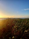 Dunes and ocean