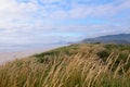 Scenic view at dunes of Oregon coast. Royalty Free Stock Photo