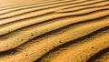 Dunes with parallel ripples create a textured pattern as sunlight casts Royalty Free Stock Photo