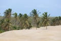 Dunes of Piaui, Brazil Royalty Free Stock Photo