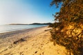 Dunes and plants in Maria Pia beach Royalty Free Stock Photo