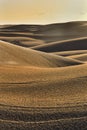 Dunes Raindrops Sun Vert