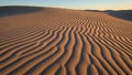 Undulations of the dunes are highlighted by the low angled sunlight Royalty Free Stock Photo