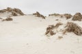 Dunes on Romo Island - Denmark.