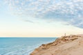 Dunes at Rubjerg Knude in Denmarks north Royalty Free Stock Photo