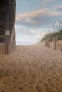 Dunes, Sand and Sea Oats Royalty Free Stock Photo