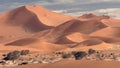 Big Mamma Dune, Sossusvlei, Namibia Royalty Free Stock Photo