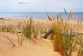 Dunes, Saulkrasti, Baltic Sea, Latvia.