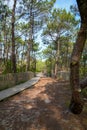 Dunes sea access on bright summer day view on pines forest in Cap-Ferret ocean beach Royalty Free Stock Photo