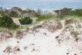 Dunes at Shackleford Banks, NC Royalty Free Stock Photo