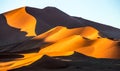 Dunes of the Sossusvlei. Beautiful shapes. Stunning light and color. Africa. Landscapes of Namibia.